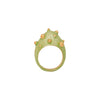 Anillo Eggcentric