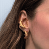Aretes Banana