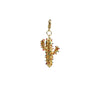 Cactus Charm